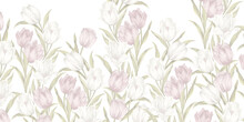 Tulips On A White Background Painted In A Pastel Style, A Large Number Of Tulips, Wall Murals In The Room