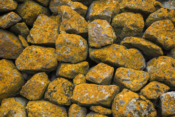 Poster - Old stone wall, moss and mold on the stone