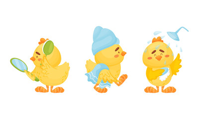 Poster - Little Yellow Chick Washing in Shower and Brushing Its Feathers Vector Set