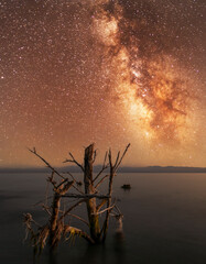 Wall Mural - beautiful night landscape. the old tree stump on the shore, bright milky way galaxy under lake and m