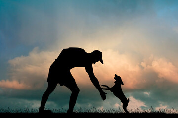 Poster - man plays with dog at sunset