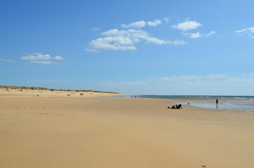 Poster - Plage de la palmyre sur la cote sauvage en charente maritime