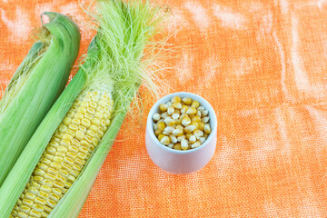 Wall Mural - pair of cobs in the foliage and a bowl of grains on a bright background