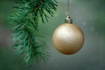 christmas ball on a fir tree