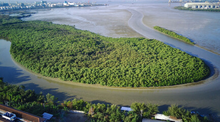 Poster - Aerial shot of lush green trees near the sea