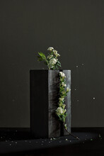 Flowers On A Piece Of Wood As A Vase.