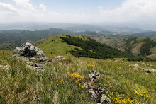 Spring Green Hill Kopaonik Serbia Landscape