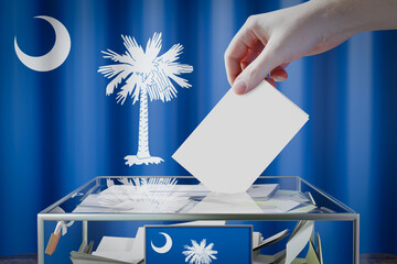 Wall Mural - South Carolina flag, hand dropping ballot card into a box - voting, election concept - 3D illustration
