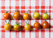 © Maryanne Gobble/Stocksy - Multicolored Tomatoes on Red Pattern Background
