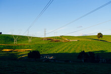 Electricity Pylons Crossing Farmland In Victoria, Australia