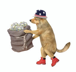 Wall Mural - A beige dog in a hat and boots is carrying a jute sack of dollars. White background. Isolated.