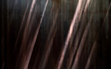 Close-up Of The Wooden Wall In The Backyard Under Sunlight
