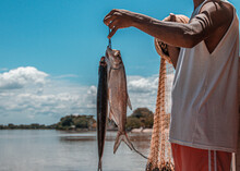 Pesca En El Rio Sinú 