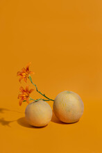 Monochrome Orange Fruits And Flowers