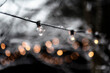 © Melanie DeFazio/Stocksy - Winter lights