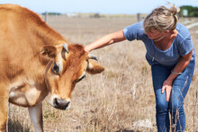 Woman Petting Her Jersey Cow