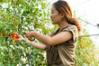© Bo Bo/Stocksy - asian woman picking samll tomato at summer farm