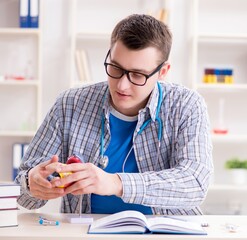 Wall Mural - Medical student studying heart in classroom during lecture