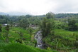 © 旅祐 - インドネシア　バリ島　世界遺産ジャティルウィのライステラス