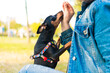 Young woman playing and training her little dog outdoors. Black and Tan miniature pinscher female dog with owner in a park