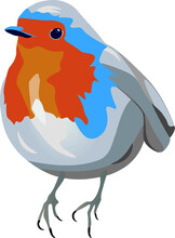 European Robin Bird Vector Illustration 
