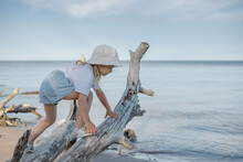 A Little Girl Clambering , Balancing And Walking On A Tree Trunk At The Beach.