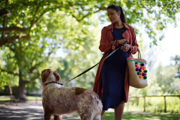 Wall Mural - Pregnant woman walking dog in park