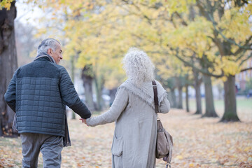 Affectionate senior couple holding hands, walking among trees and leaves in autumn park