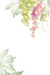 Grape. Watercolor frame. Suitable for wallpapers, backgrounds, greetings, invitations