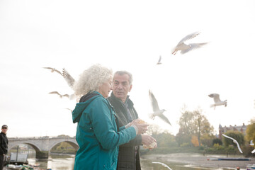 Wall Mural - Affectionate senior couple watching birds flying at river