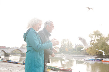 Affectionate senior couple watching birds flying at river