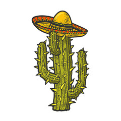 sombrero mexican hat on cactus plant color sketch engraving vector illustration. T-shirt apparel print design. Scratch board imitation. Black and white hand drawn image.