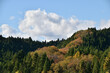 Autumn colourful forest. Mt.Taihaku san. Another name is “Sendai fuji” and “Natori fuji”.
