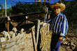 Portrait of senior male rancher wearing hat and striped shirt standing by goats during sunny day