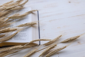 Wall Mural - ears of wheat on open bible on white wood background with copy space