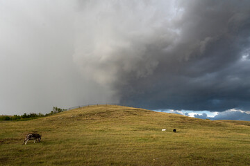 Wall Mural - Prairie Storm Canada