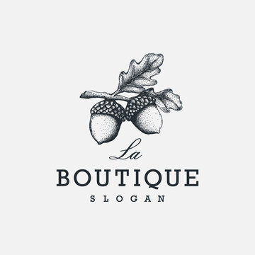 vintage elegant acorn logo design