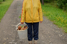 Mushroom Harvest Time. Woman With A Basket Of Mushrooms In The Autumn Forest.