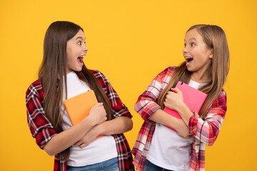 Poster - smiling teenager student. education. high school. friends girls with notebook.