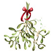 Mistletoe or Viscum branches with leaves and berries bunch. Watercolor hand drawn illustration, isolated on white background