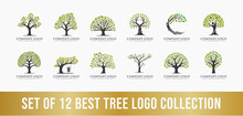 Best Tree Logo Collection Set, Perfect For Company Logos, Business And Branding.
