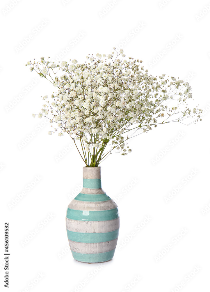 Vase with beautiful gypsophila flowers on white background