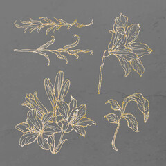 Poster - Gold floral outline set vector