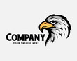 eagle hawk falcon head bird drawing art logo template illustration inspiration