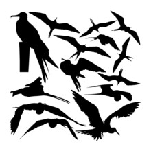 Frigate Bird Animal Silhouettes. Good Use For Symbol, Logo, Web Icon, Mascot, Sign, Or Any Design You Want.