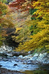 Wall Mural - Oashi valley, Kanuma, Tochigi, in autumn