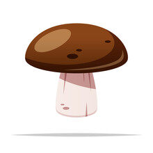 Brown Mushroom Vector Isolated Illustration