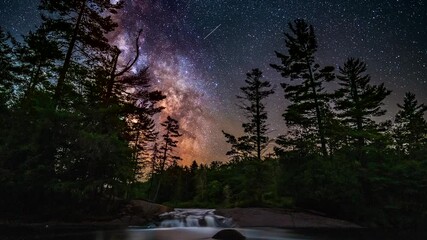 Wall Mural - bog river time lapse