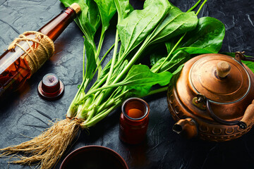 Wall Mural - Plantain in herbal medicine