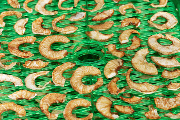 Wall Mural - Apple slices on the special drying device. Preparation apple chips at home.e